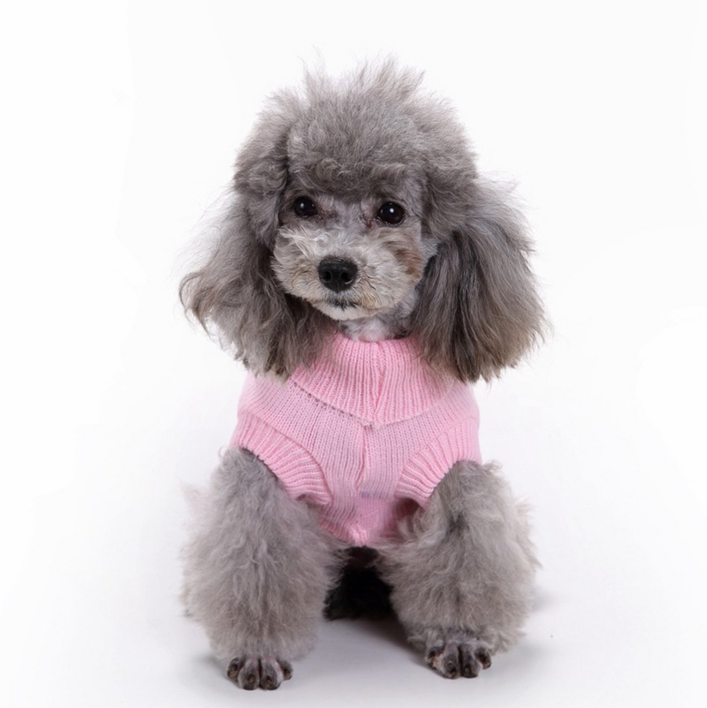 CozyDog™ Trui – Warme & Comfortabele Hondentrui