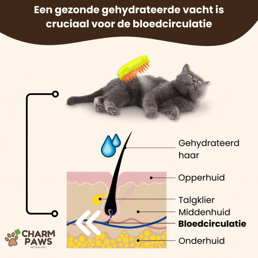 FreshFur™ Stoomborstel – Voor Kat & Hond
