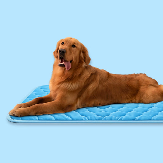 CoolPaws™ Zelfkoelende Huisdierenmat