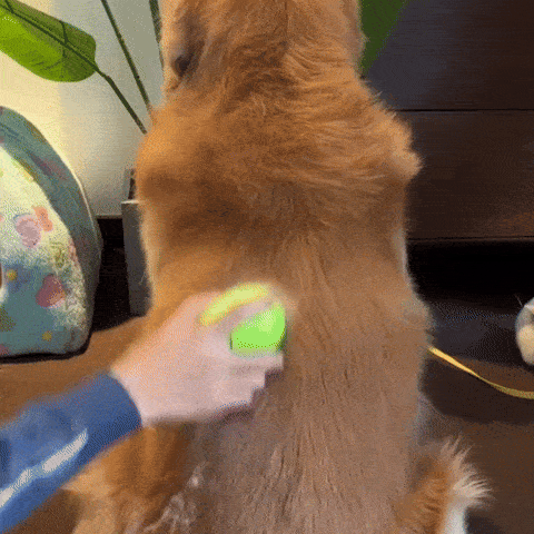 FreshFur™ Stoomborstel – Voor Kat & Hond